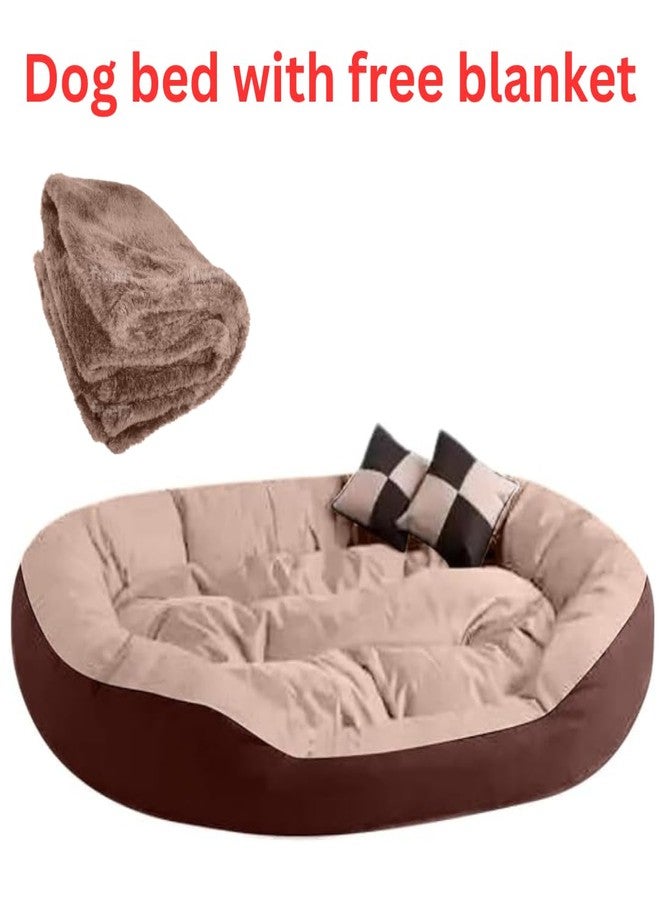 DRILLY Premium Fur XXL Dog Bed for Extra Large Dogs Washable-Orthopedic Big Dog Beds | Big Breed | | Giant Human Dog Bed (XXL) - Image 2